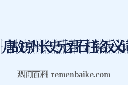 唐故凉州长史元君石柱铭反义词是什么意思的图片